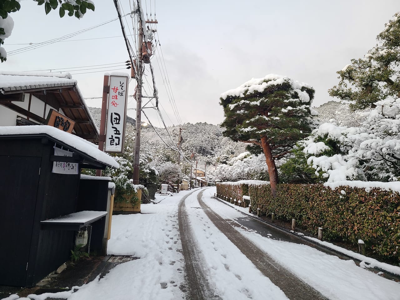 元旦奥嵯峨から山越え