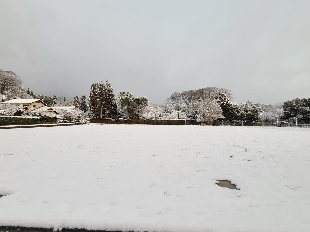 元旦奥嵯峨から山越え