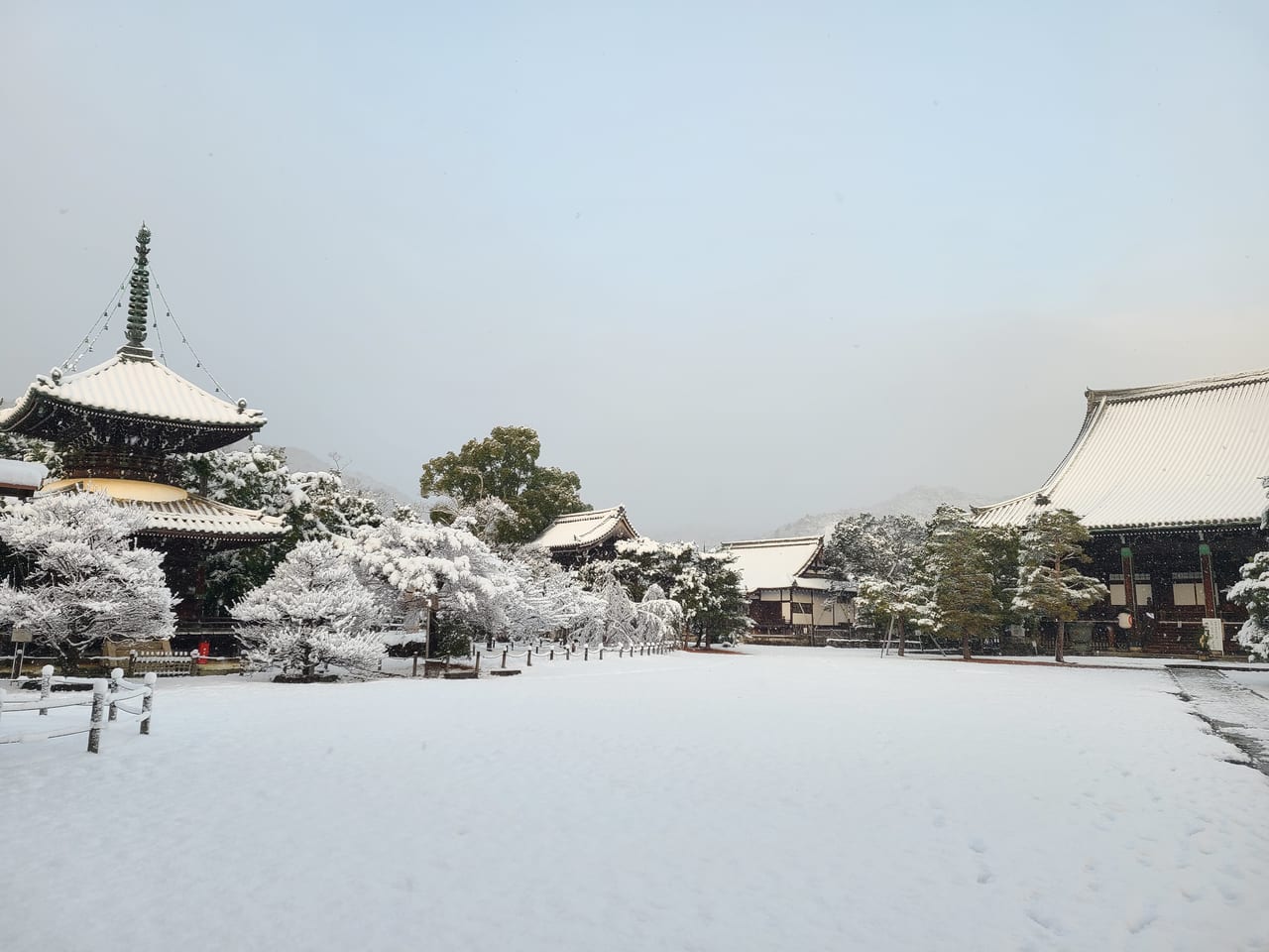 元旦奥嵯峨から山越え