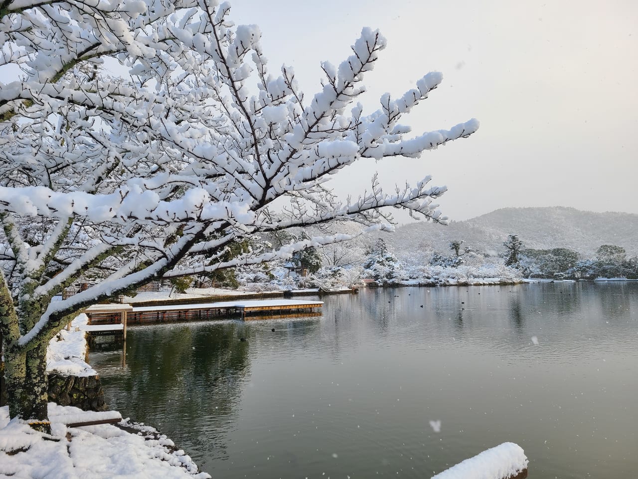 元旦奥嵯峨から山越え