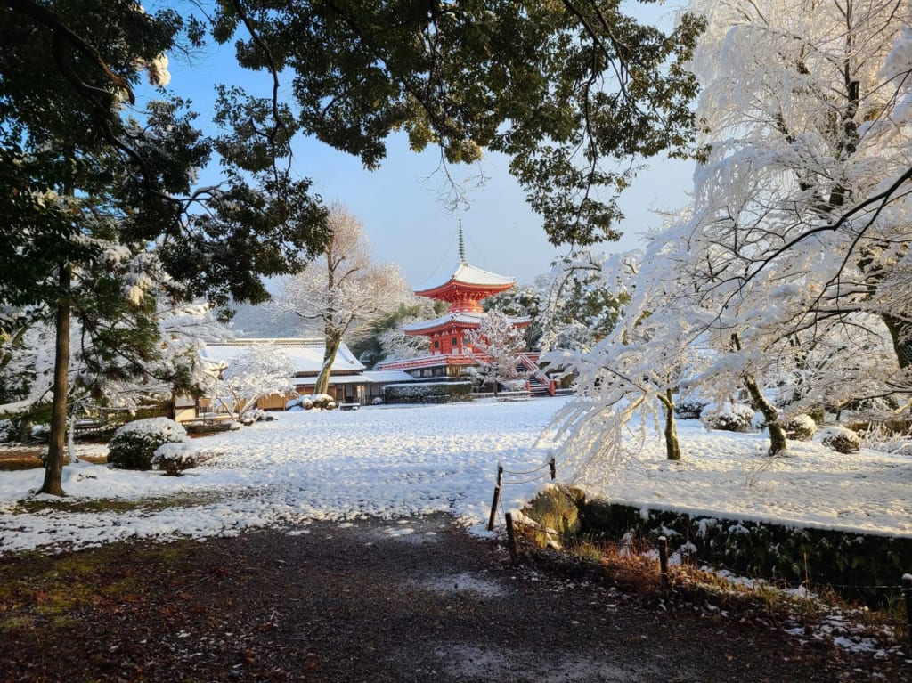 元旦奥嵯峨から山越え