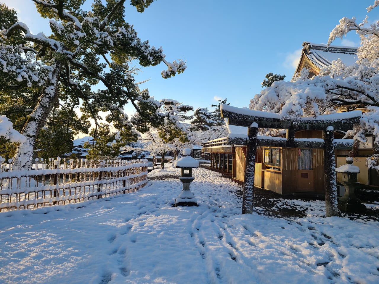 元旦奥嵯峨から山越え
