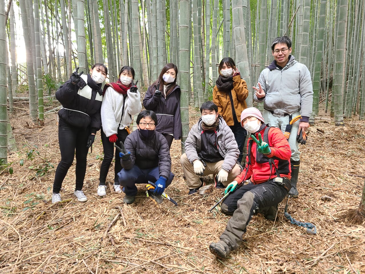 放置竹林整備