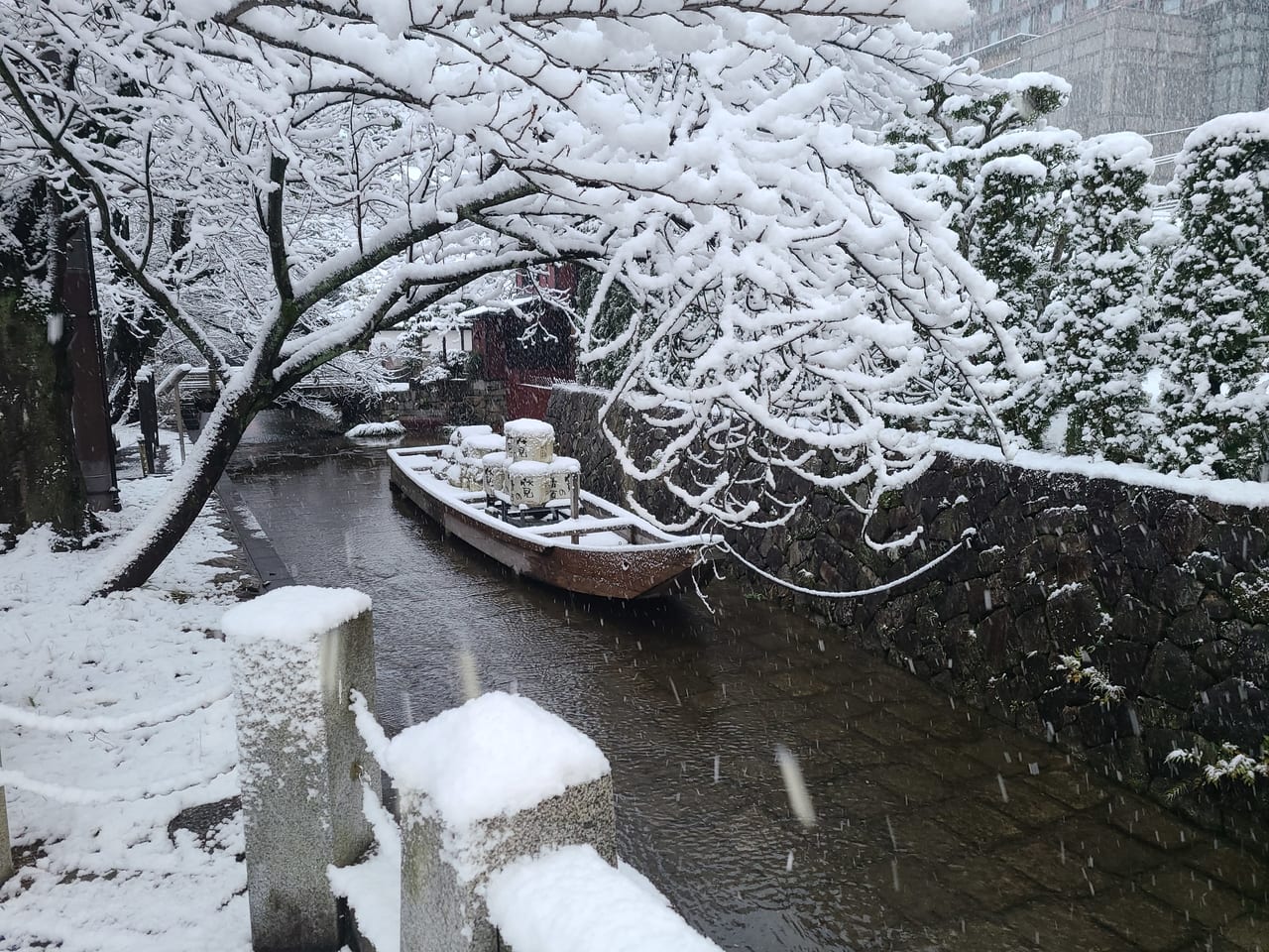 京都市大雪