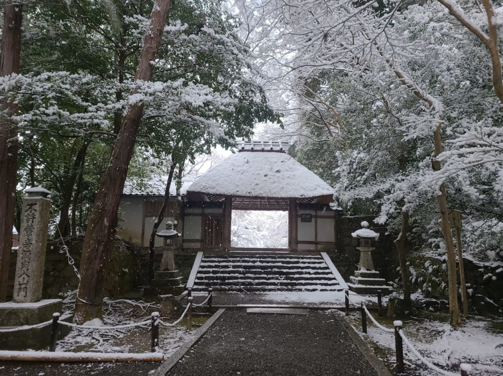 京都市大雪