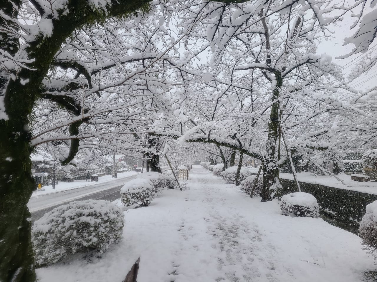 京都市大雪