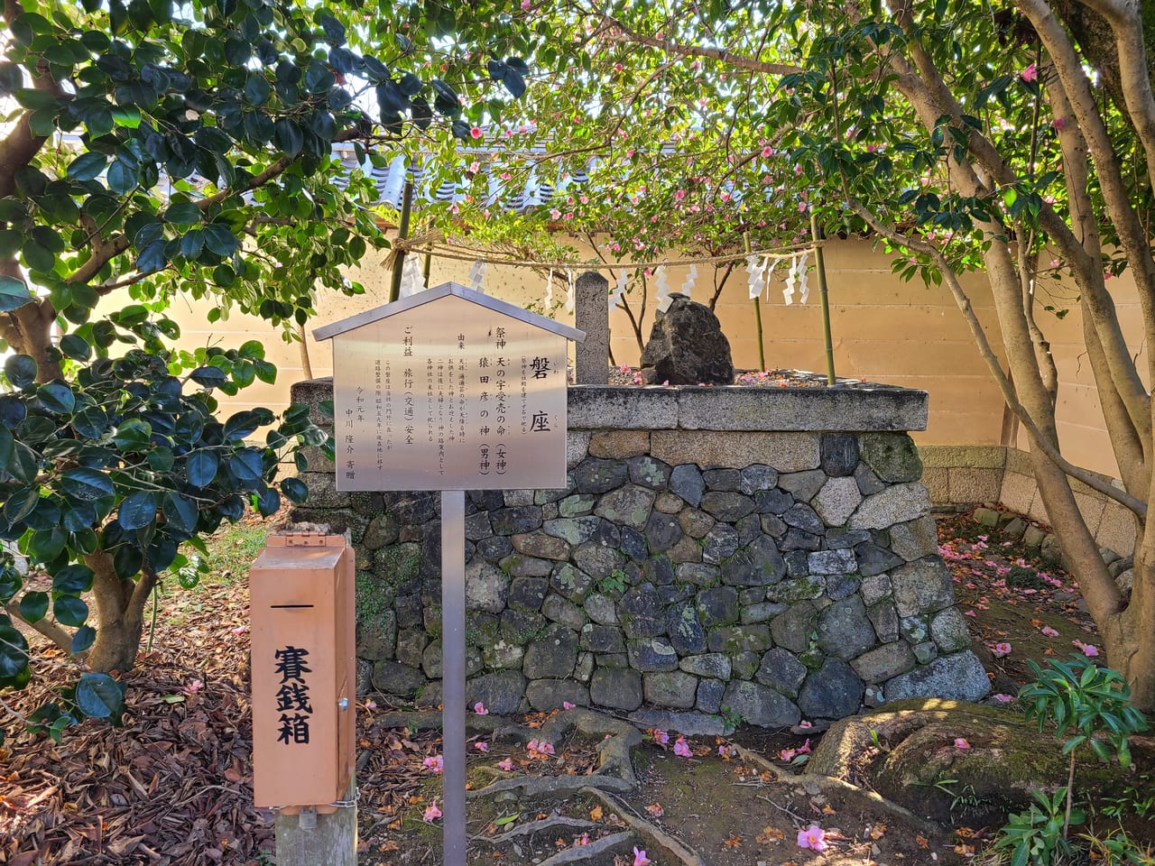 梅宮大社の梅