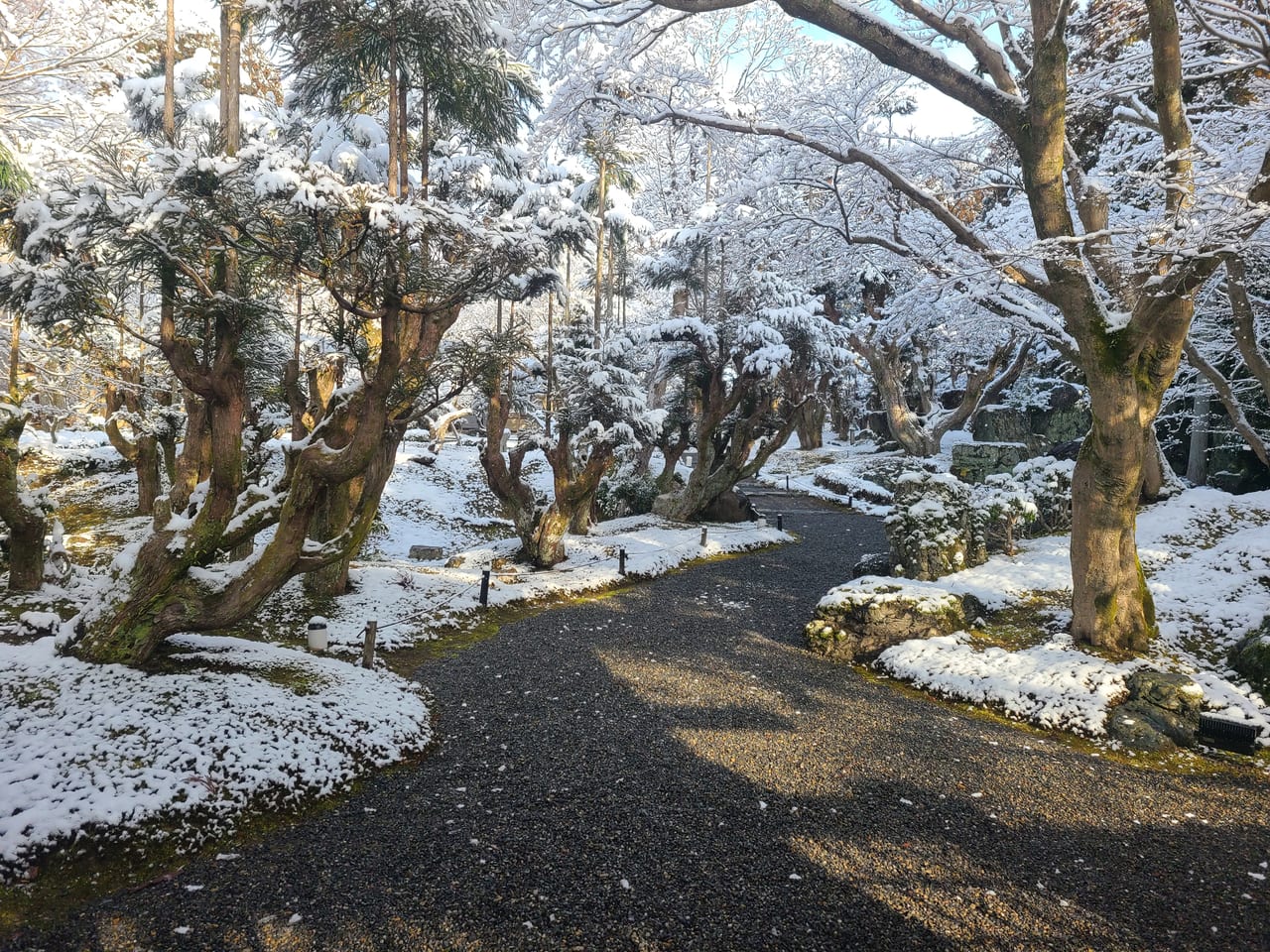 鷹峯から船岡山