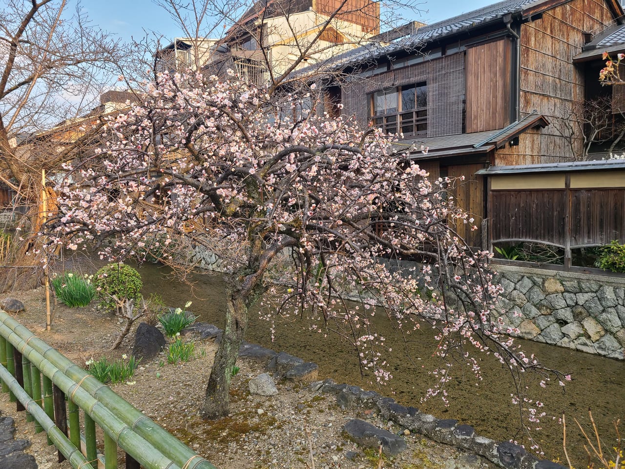 祇園白川