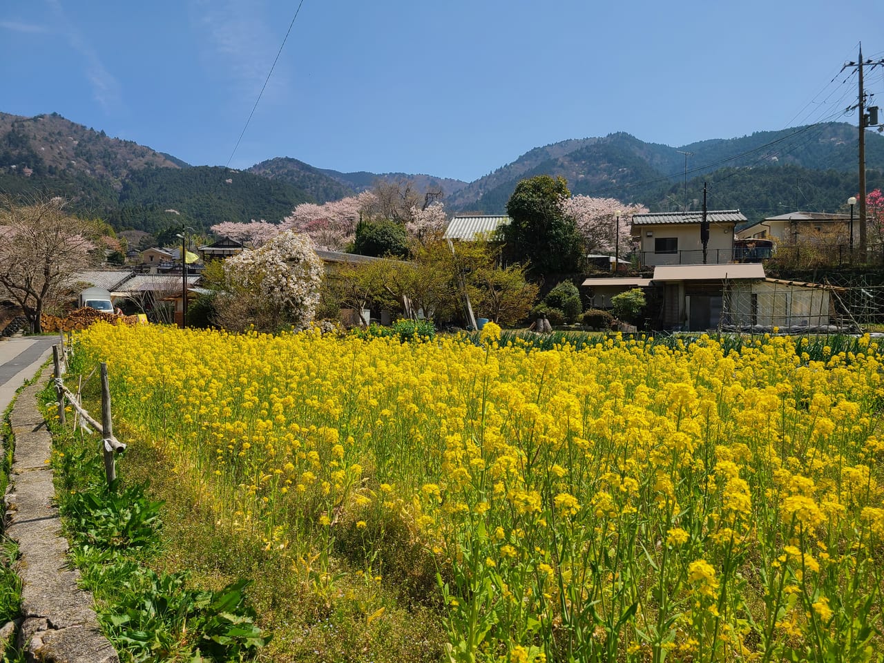 大原の里