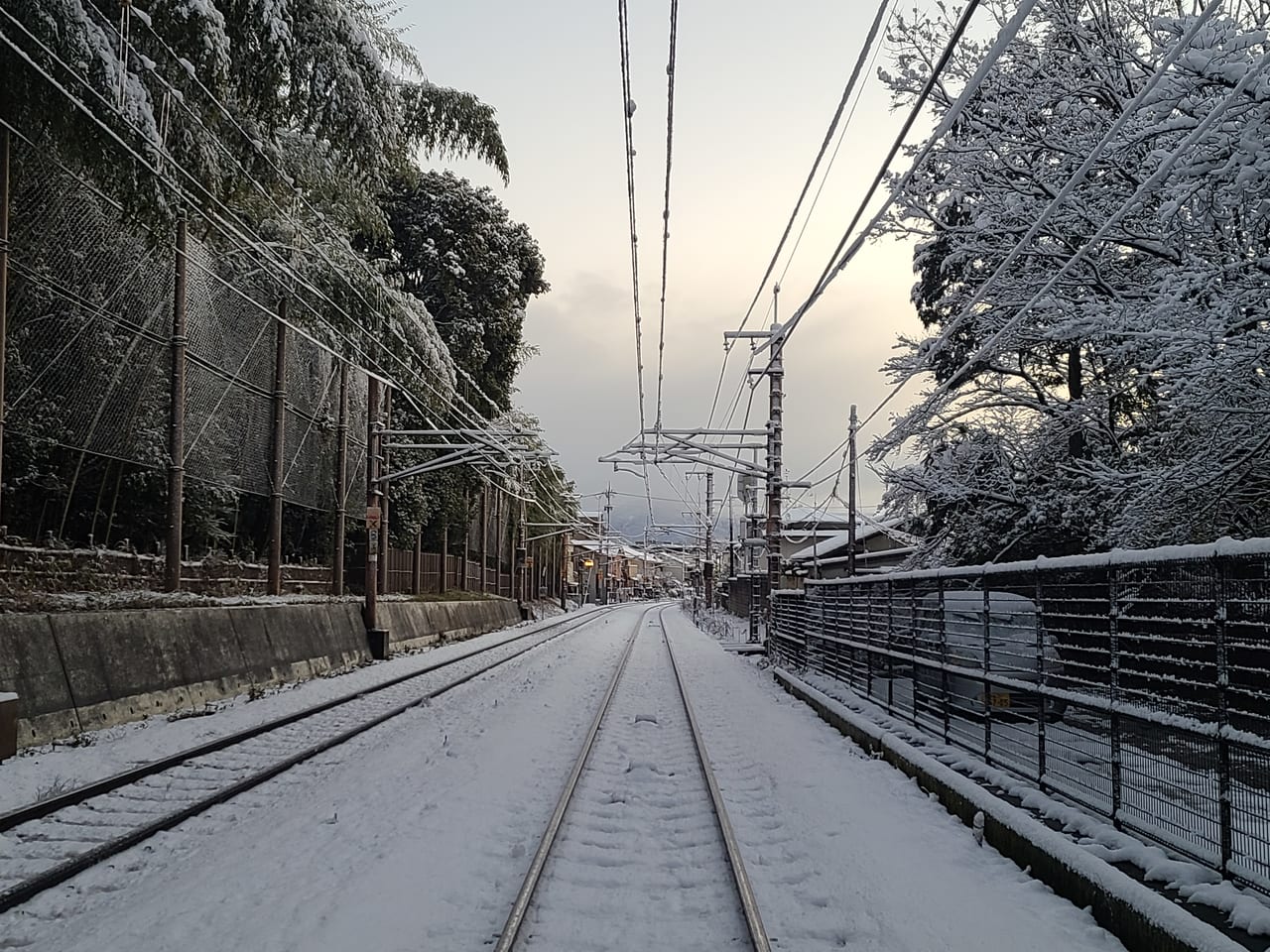 雪情報