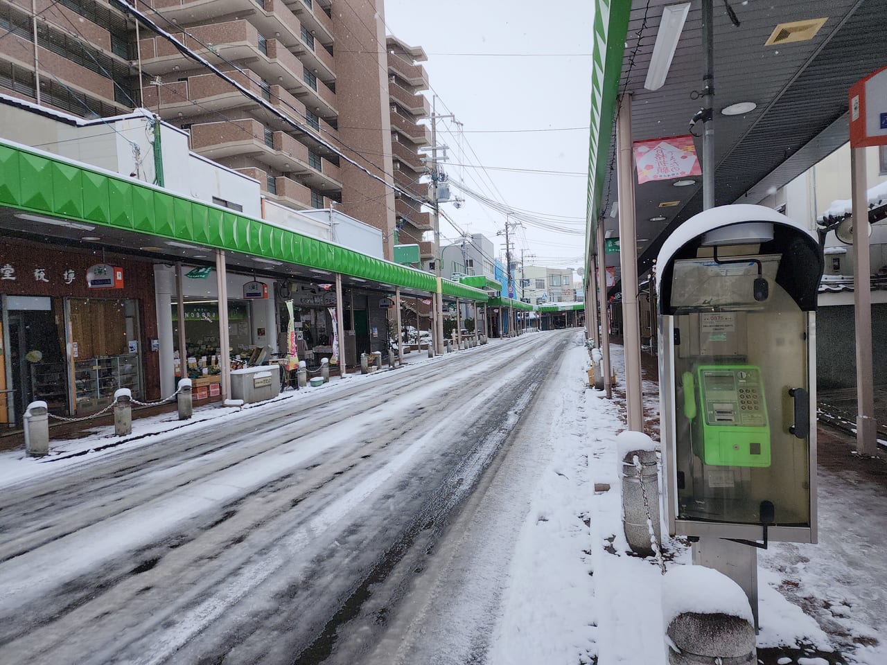 京都の大雪