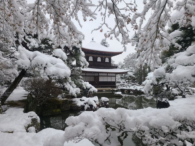 京の雪景色2023