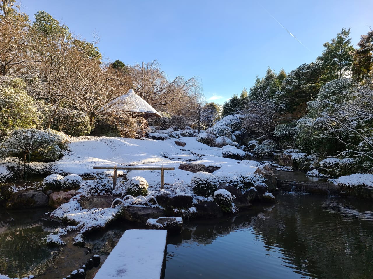 京の雪景色2023
