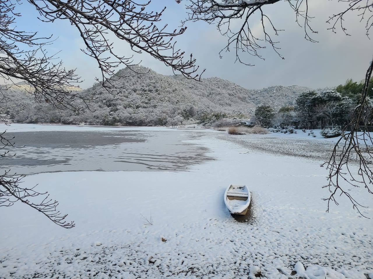 京の雪景色2023