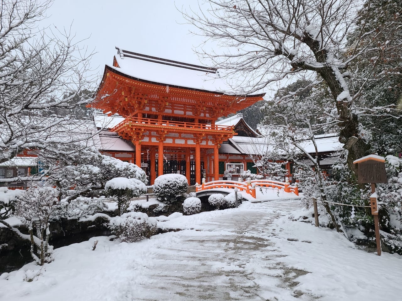 京の雪景色2023