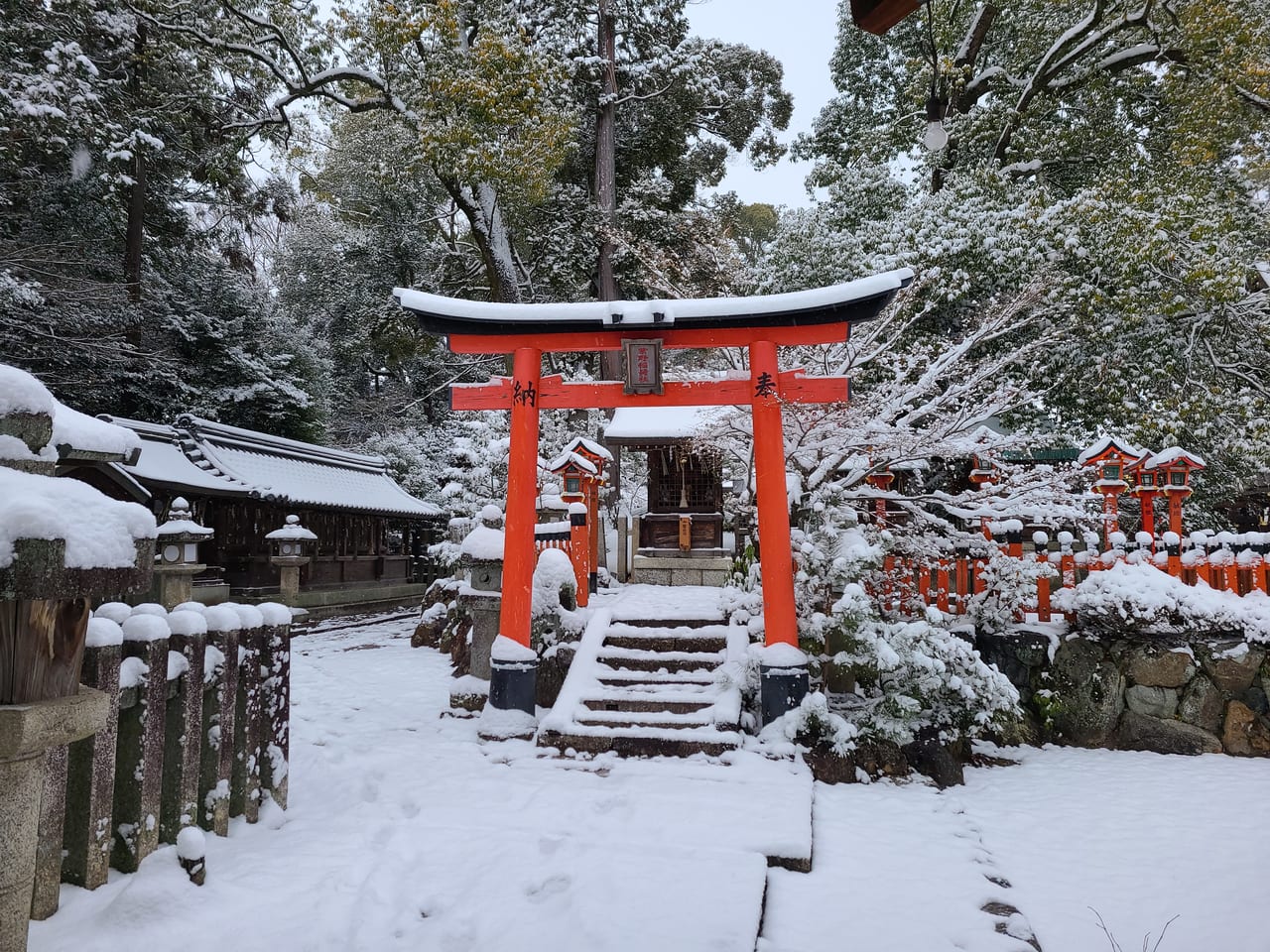 京の雪景色2023