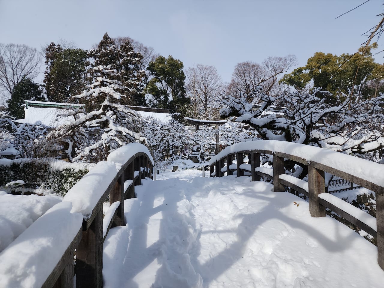 京の雪景色2023