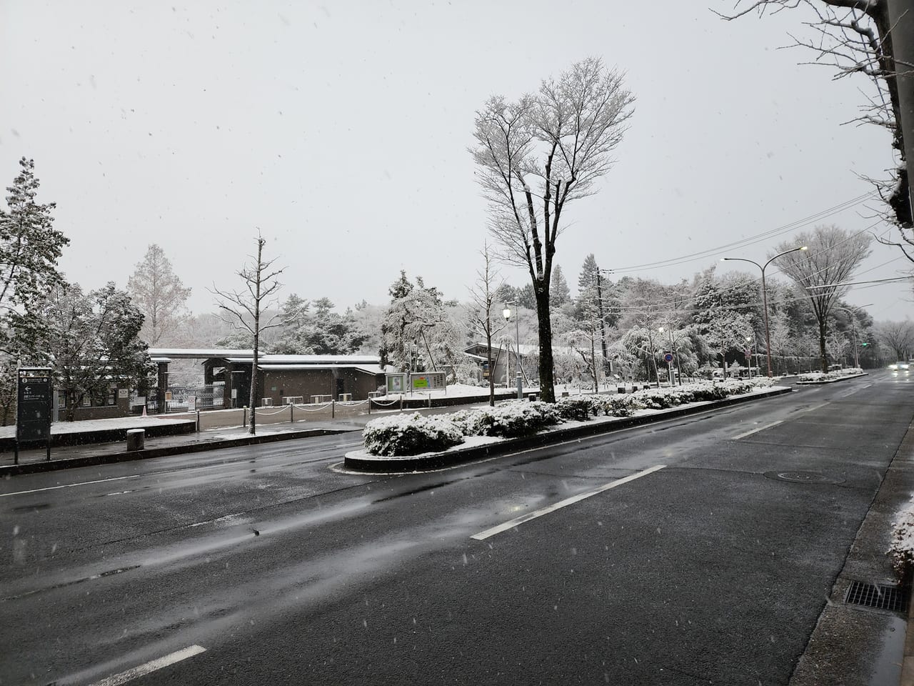 京の雪景色