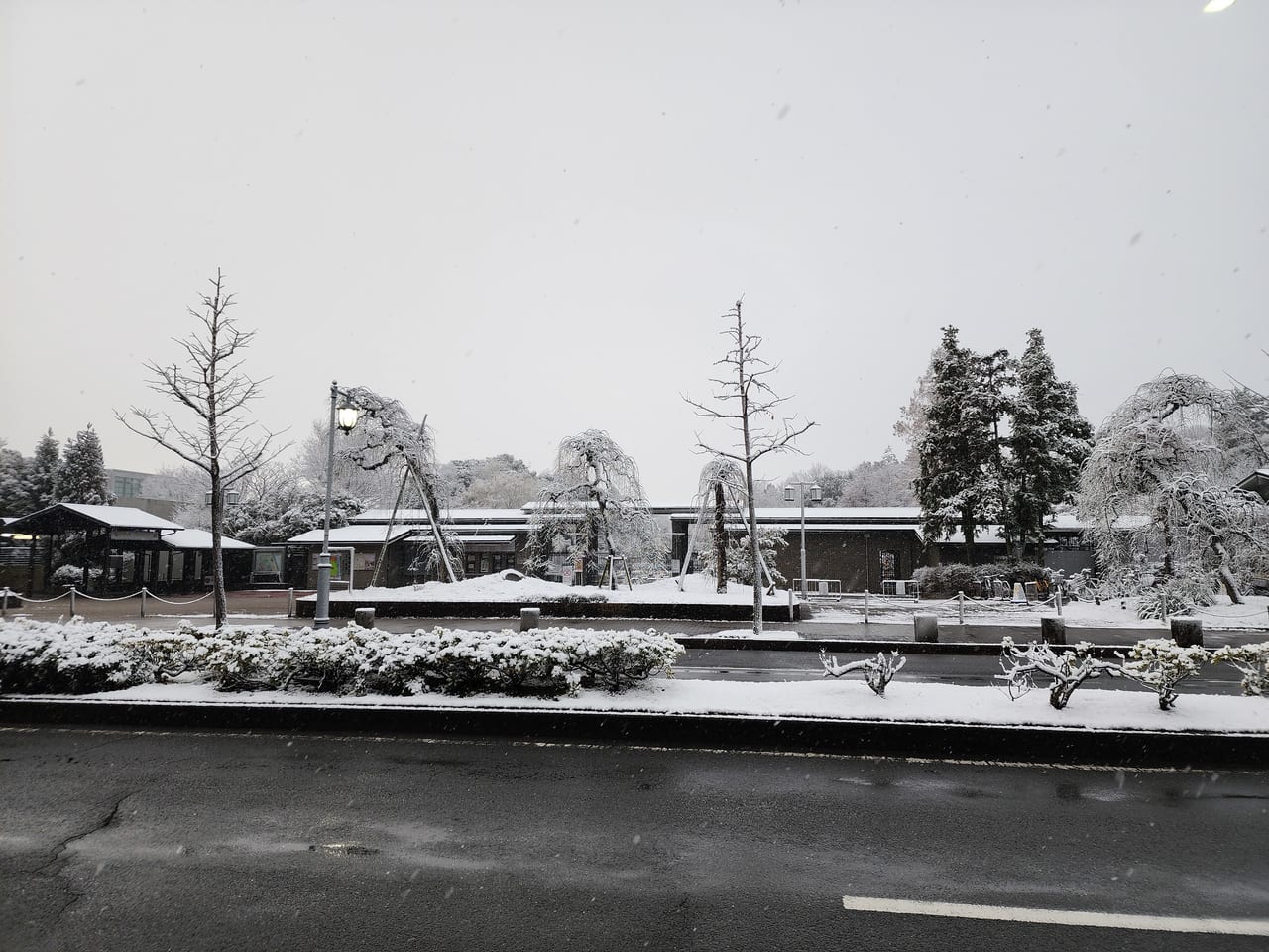 京の雪景色