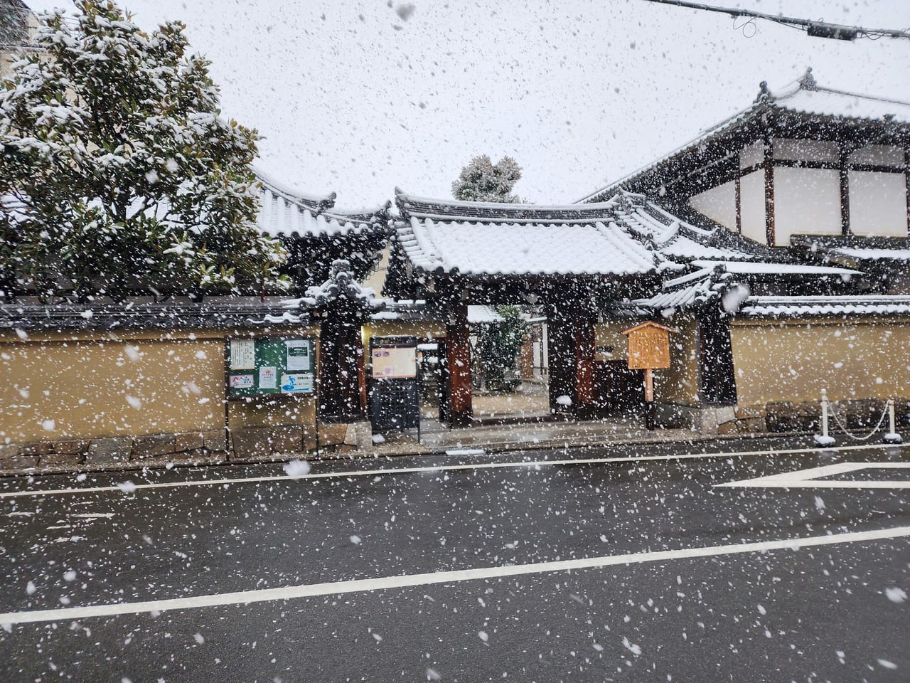 京の雪景色