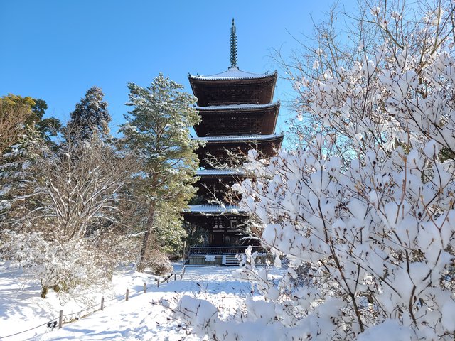 京の雪景色2023