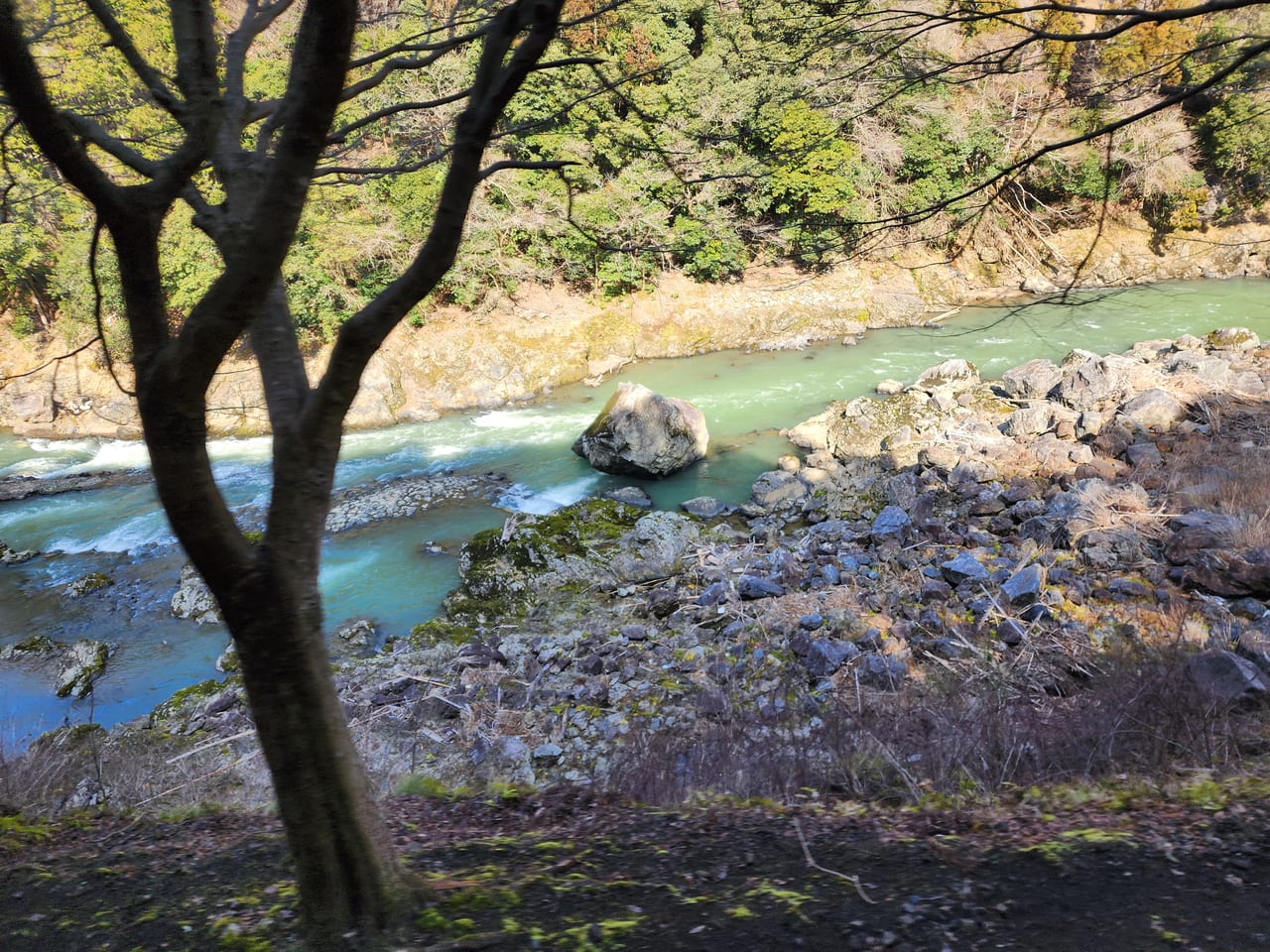 嵯峨野トロッコ列車