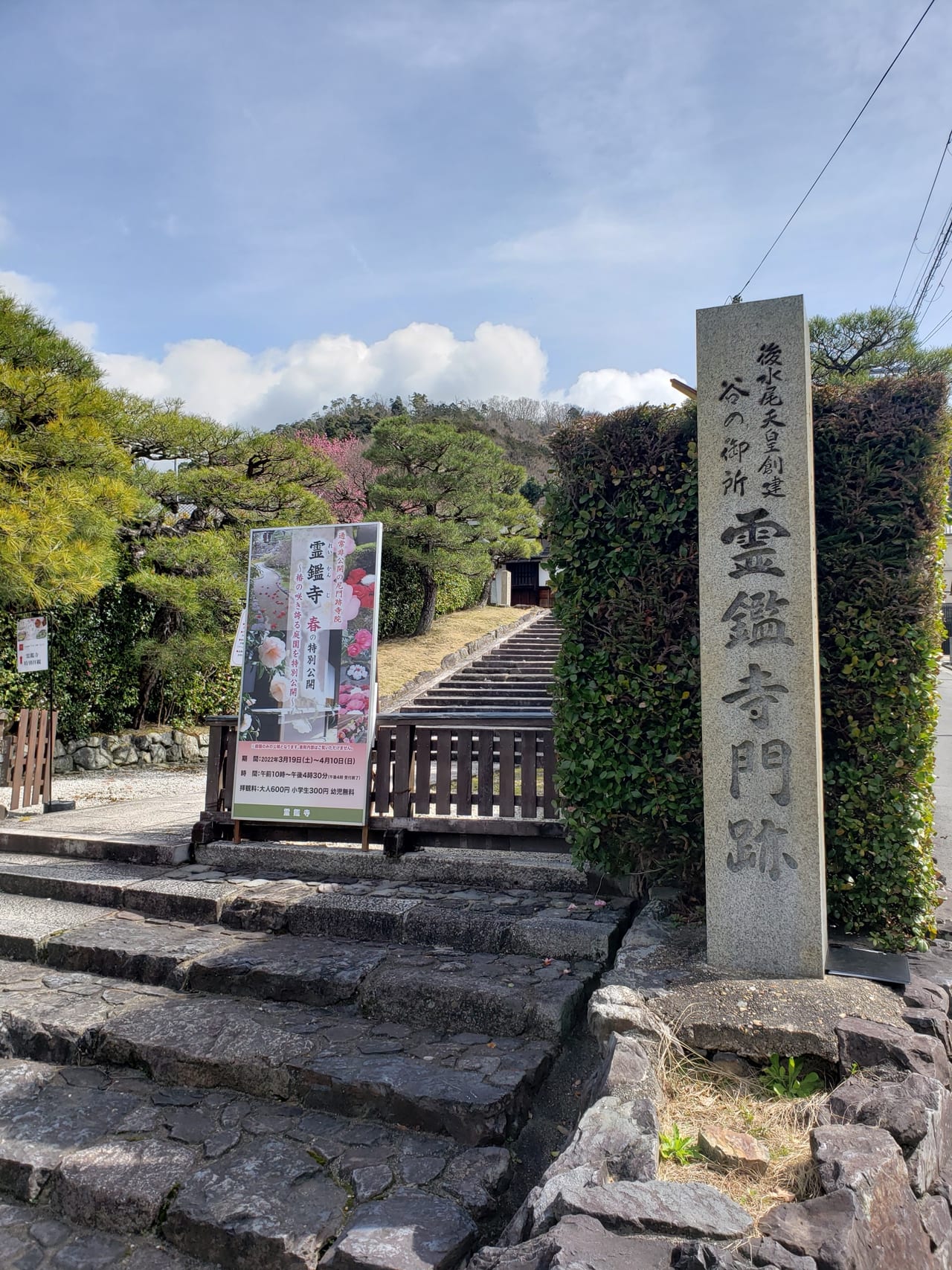 霊鑑寺椿