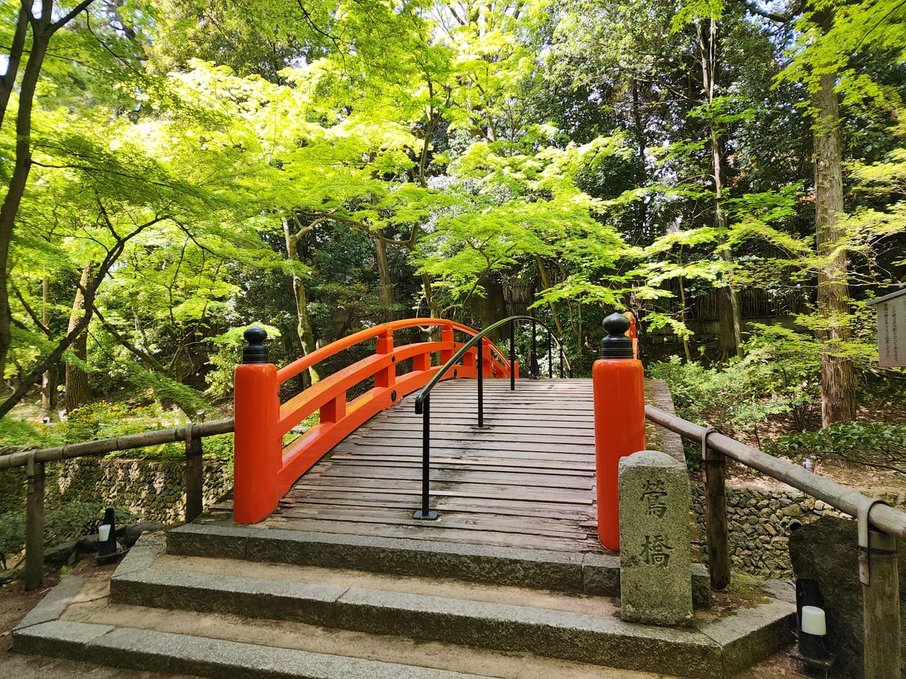 北野天神青もみじ