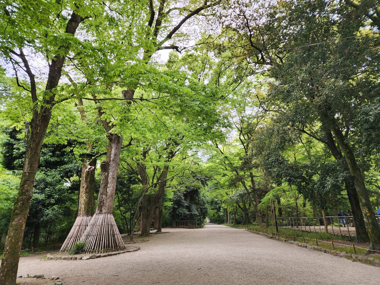 下鴨神社