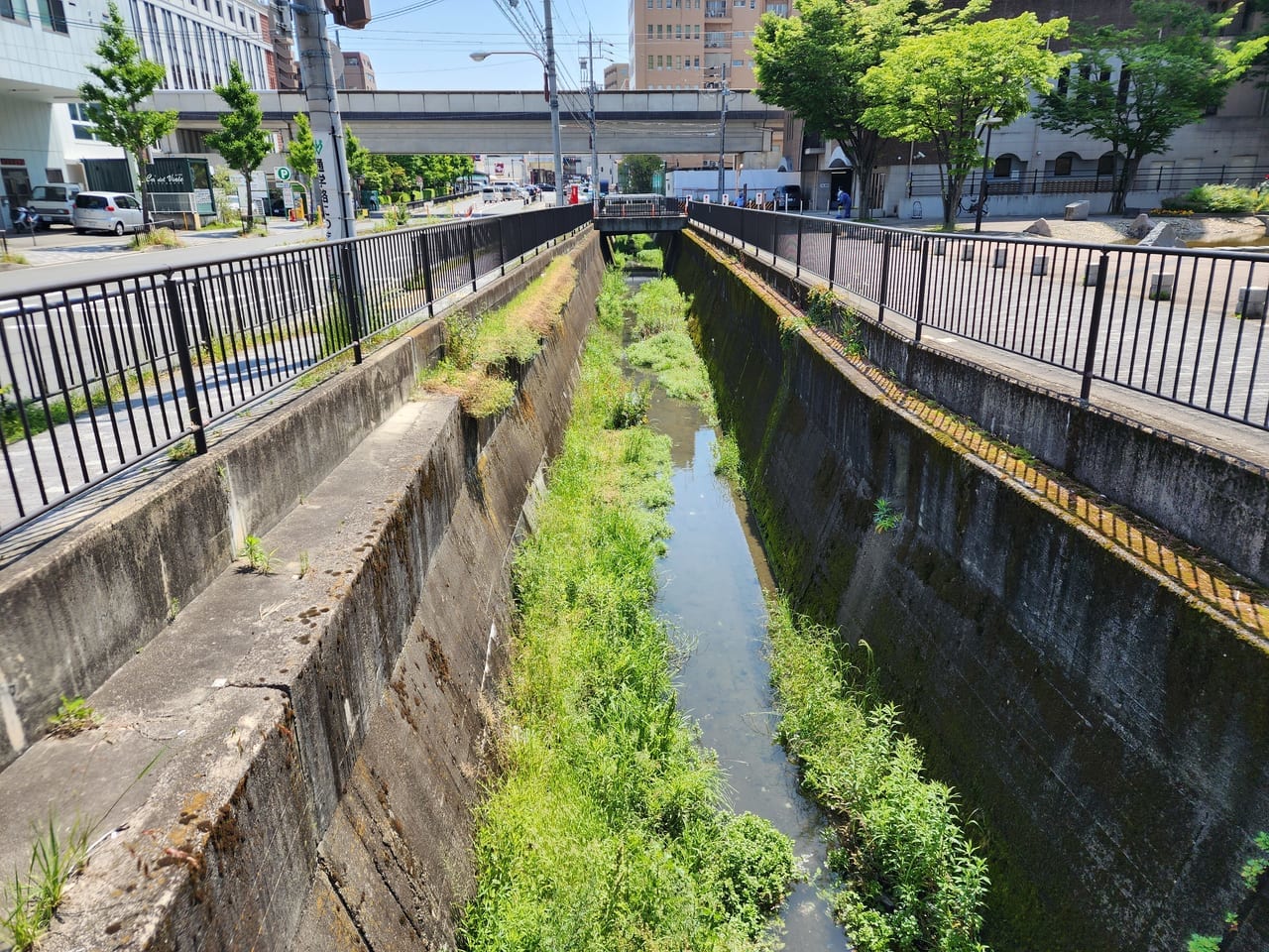 西高瀬川