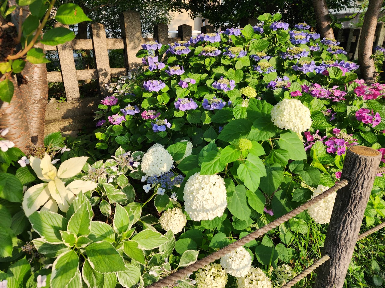 六孫王神社