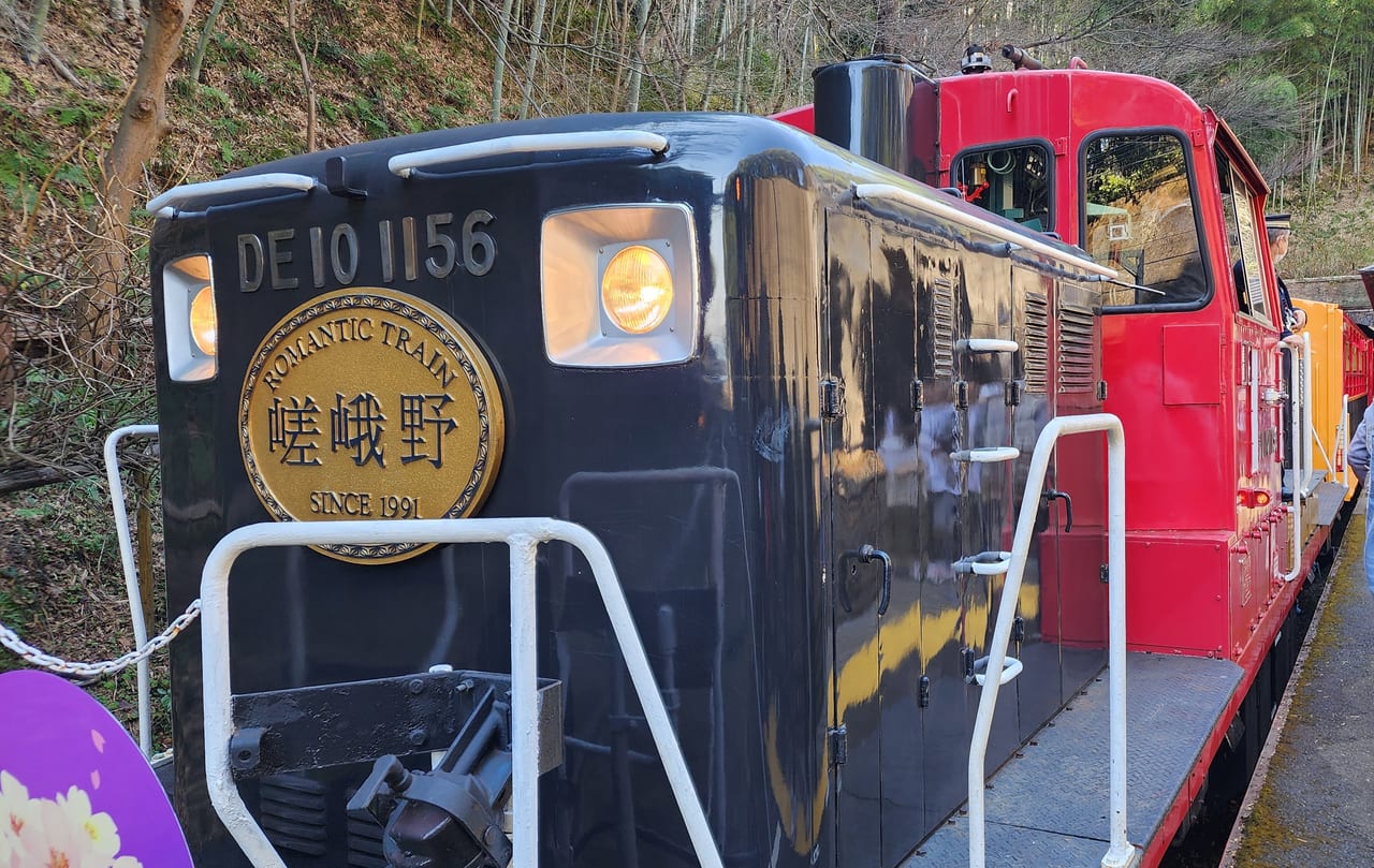 光る君へ嵯峨野