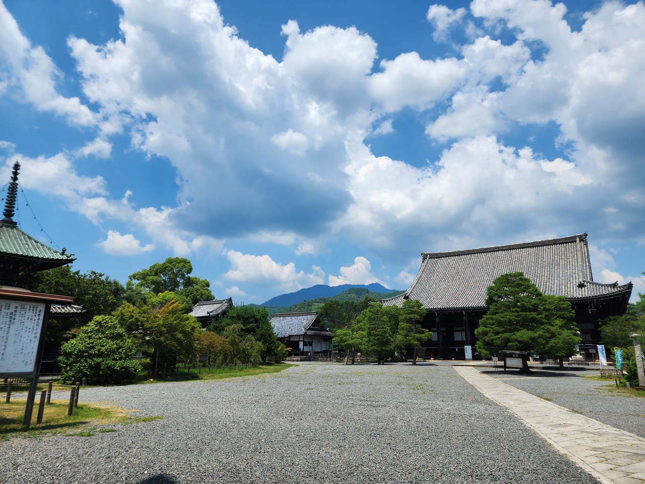 光る君へ嵯峨野