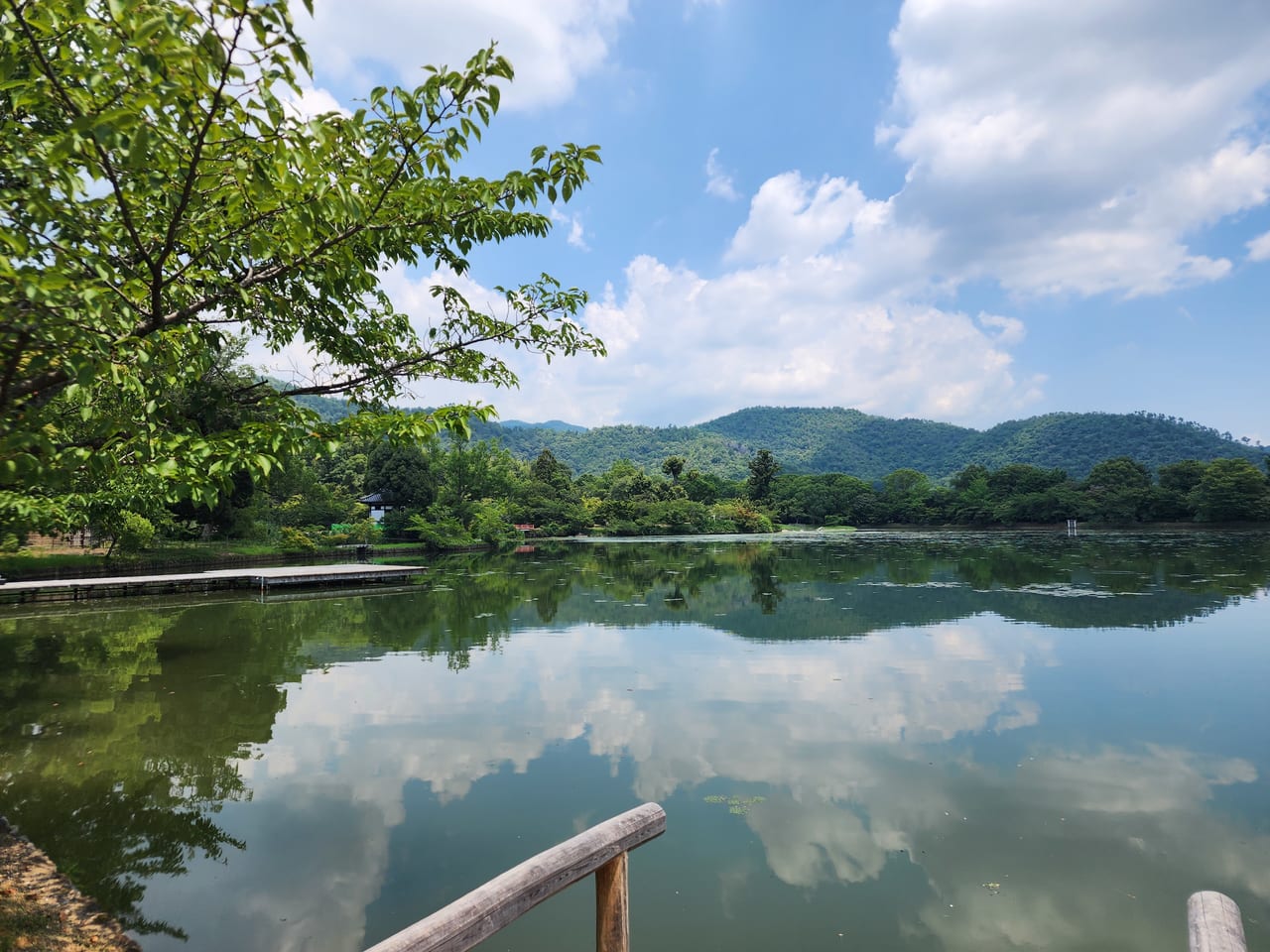 光る君へ嵯峨野