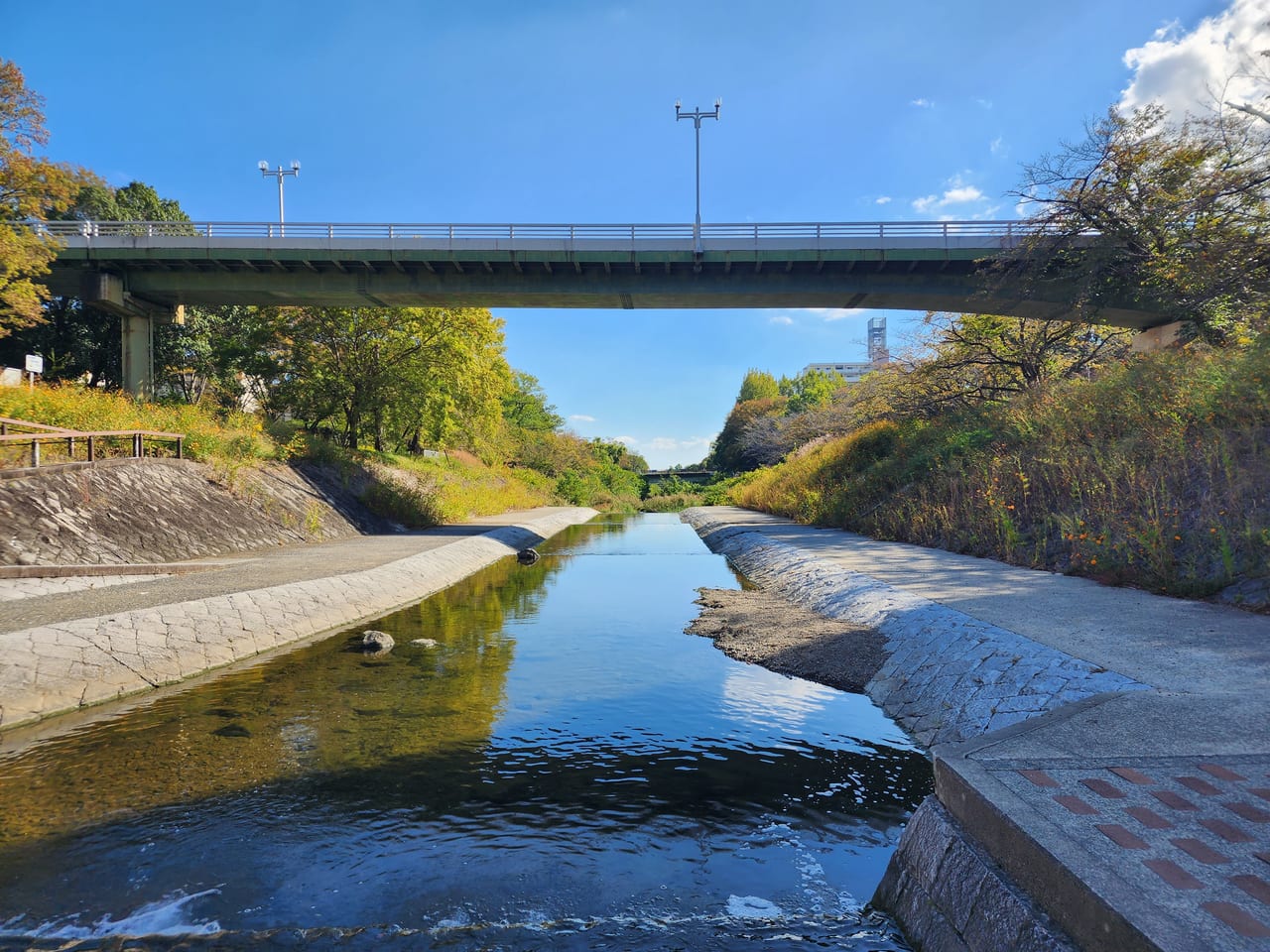 小畑川