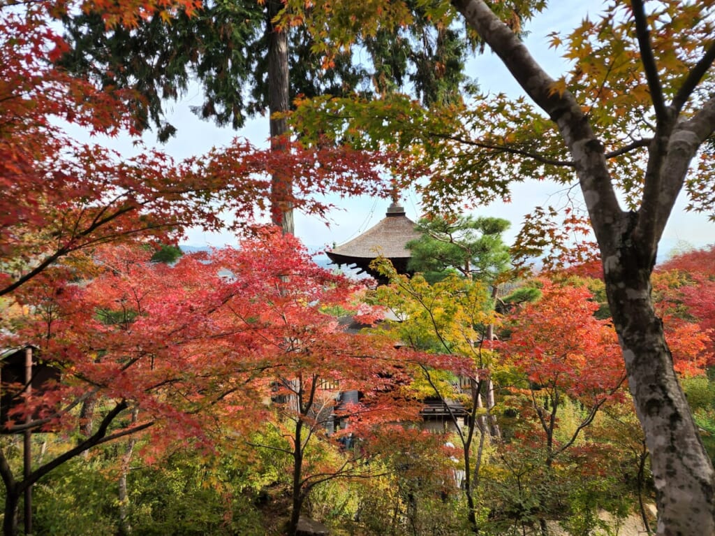 常寂光寺