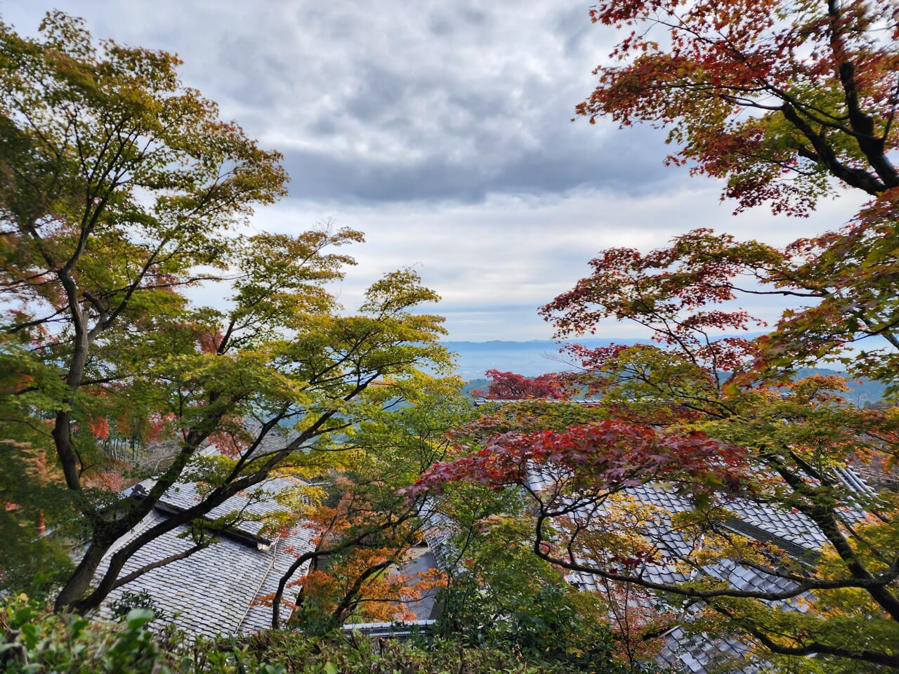 善峯寺