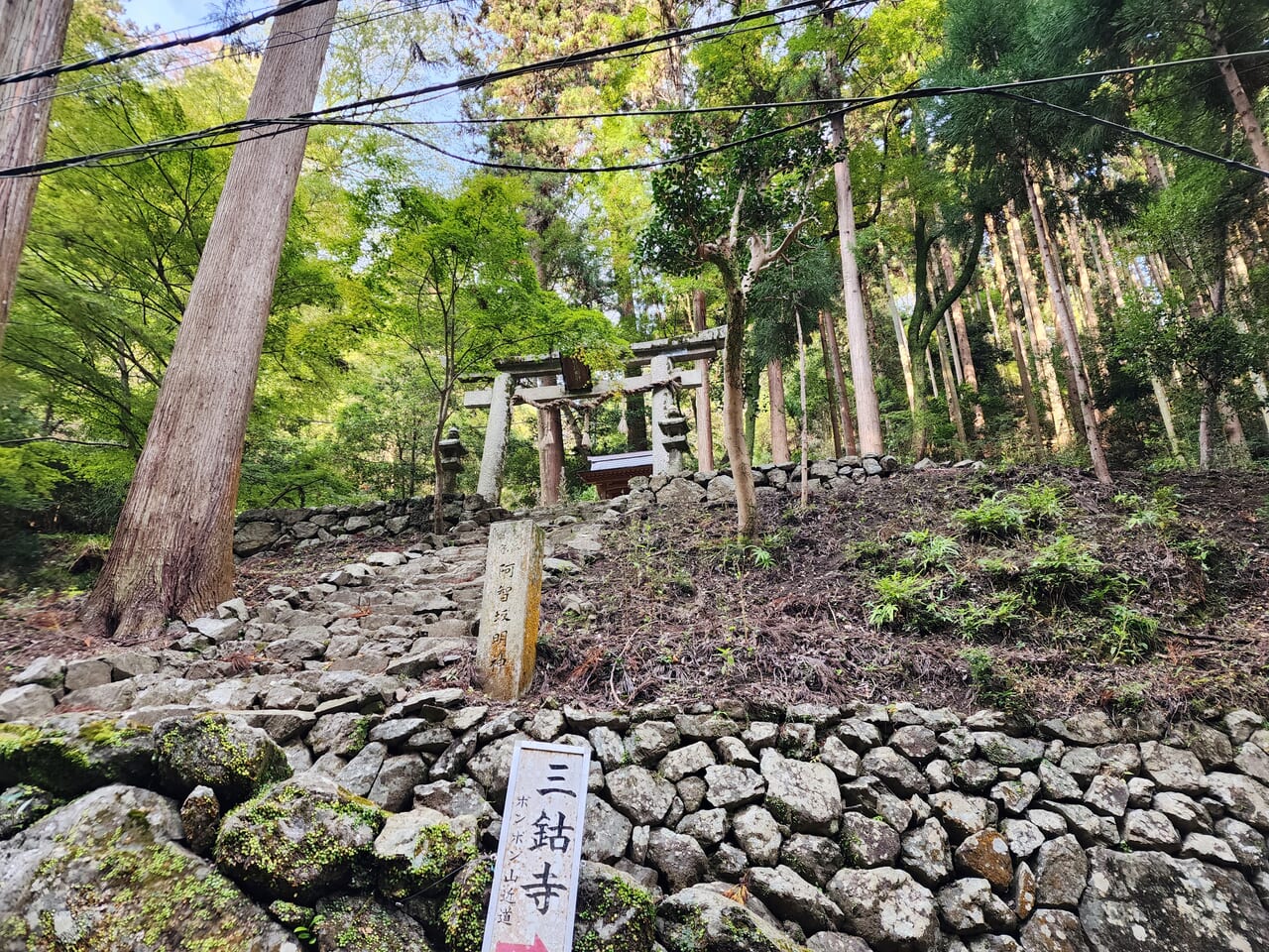 三鈷寺