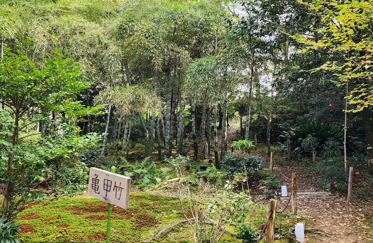 浄住寺