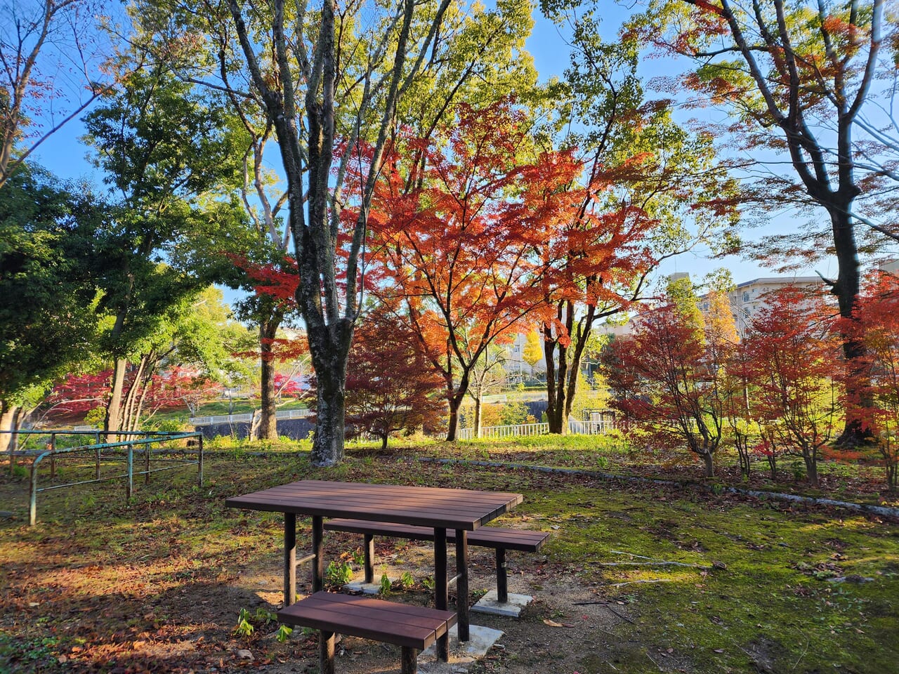 小畑川中央公園