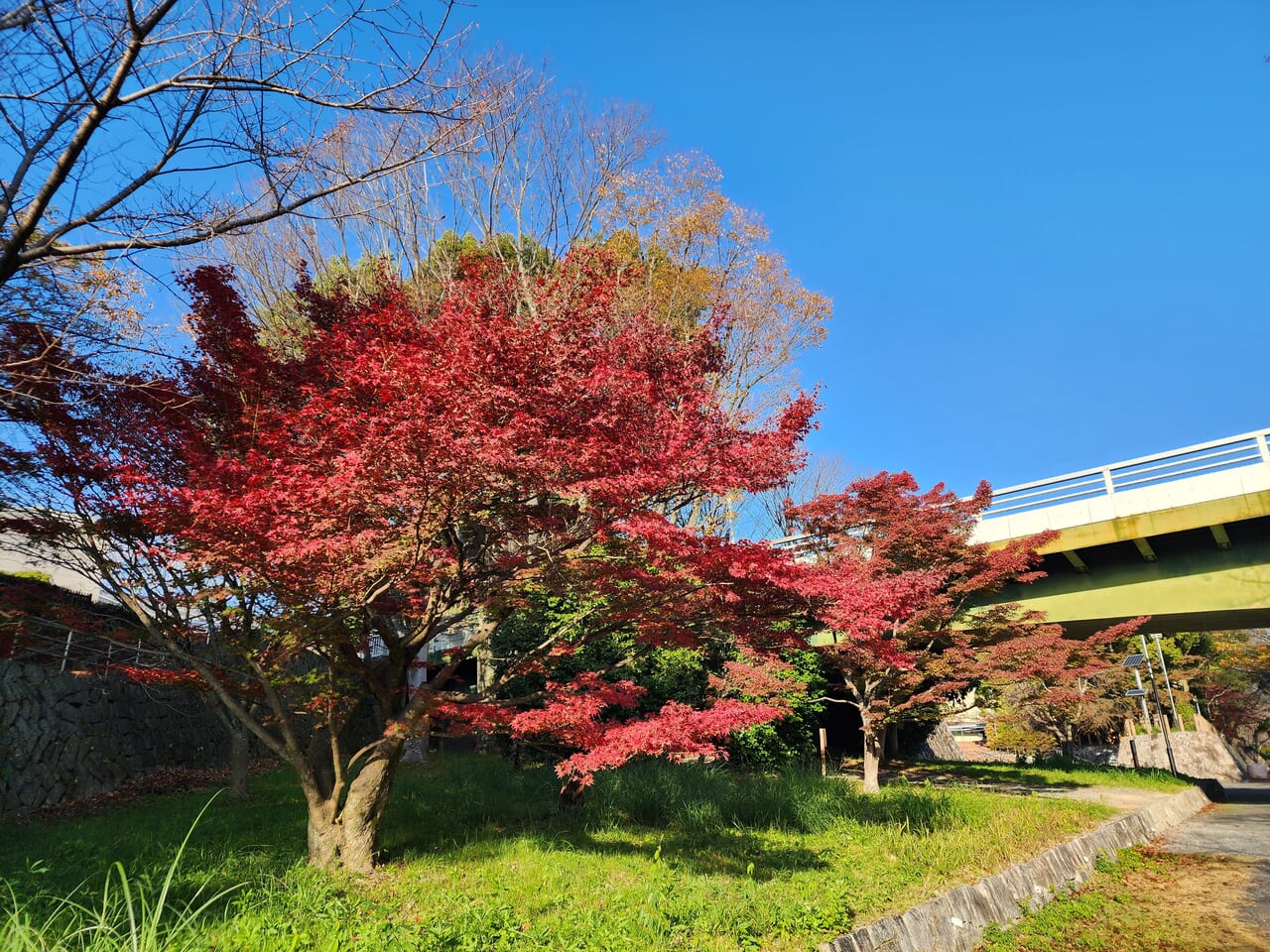 小畑川中央公園