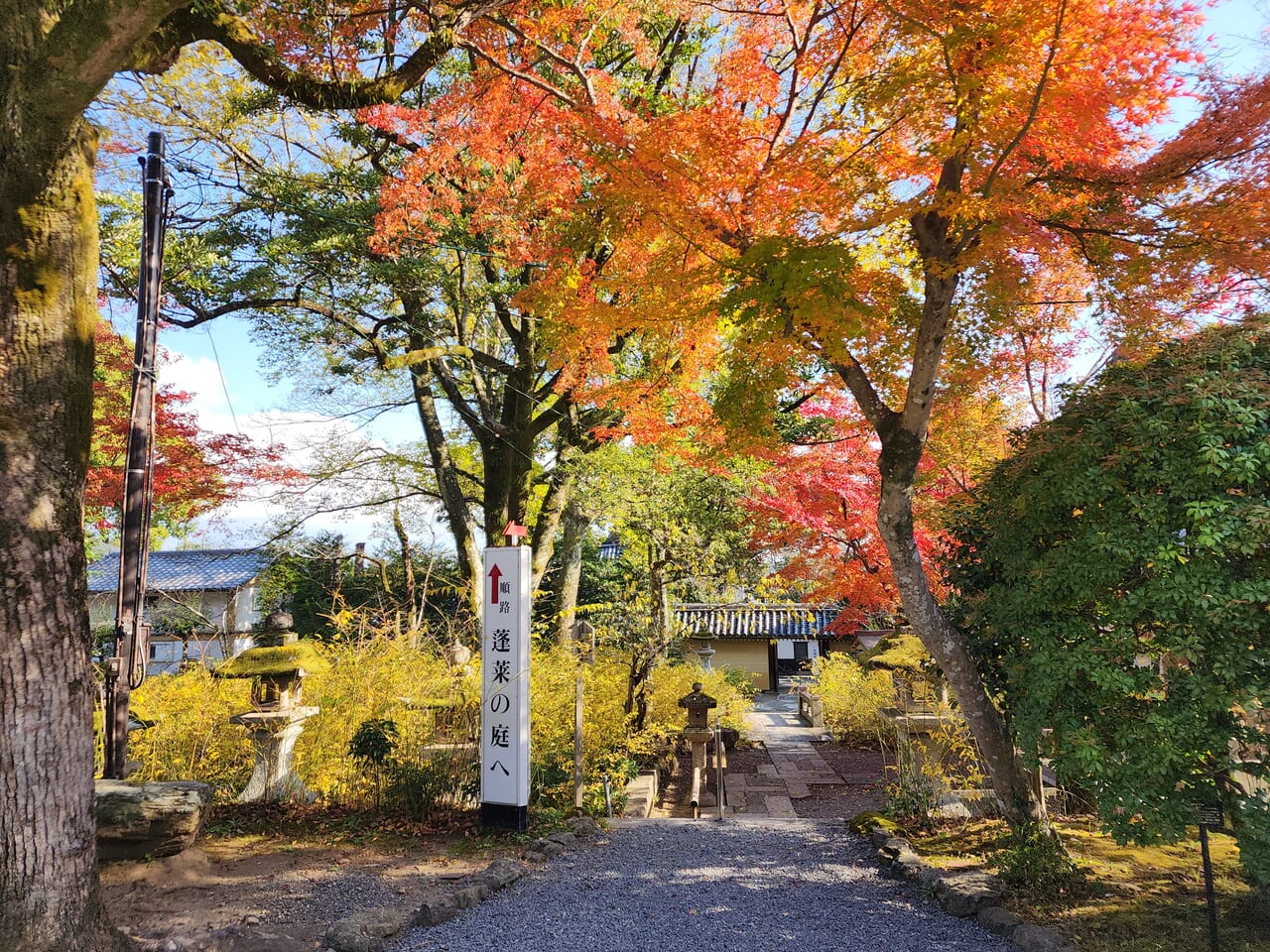 松尾大社