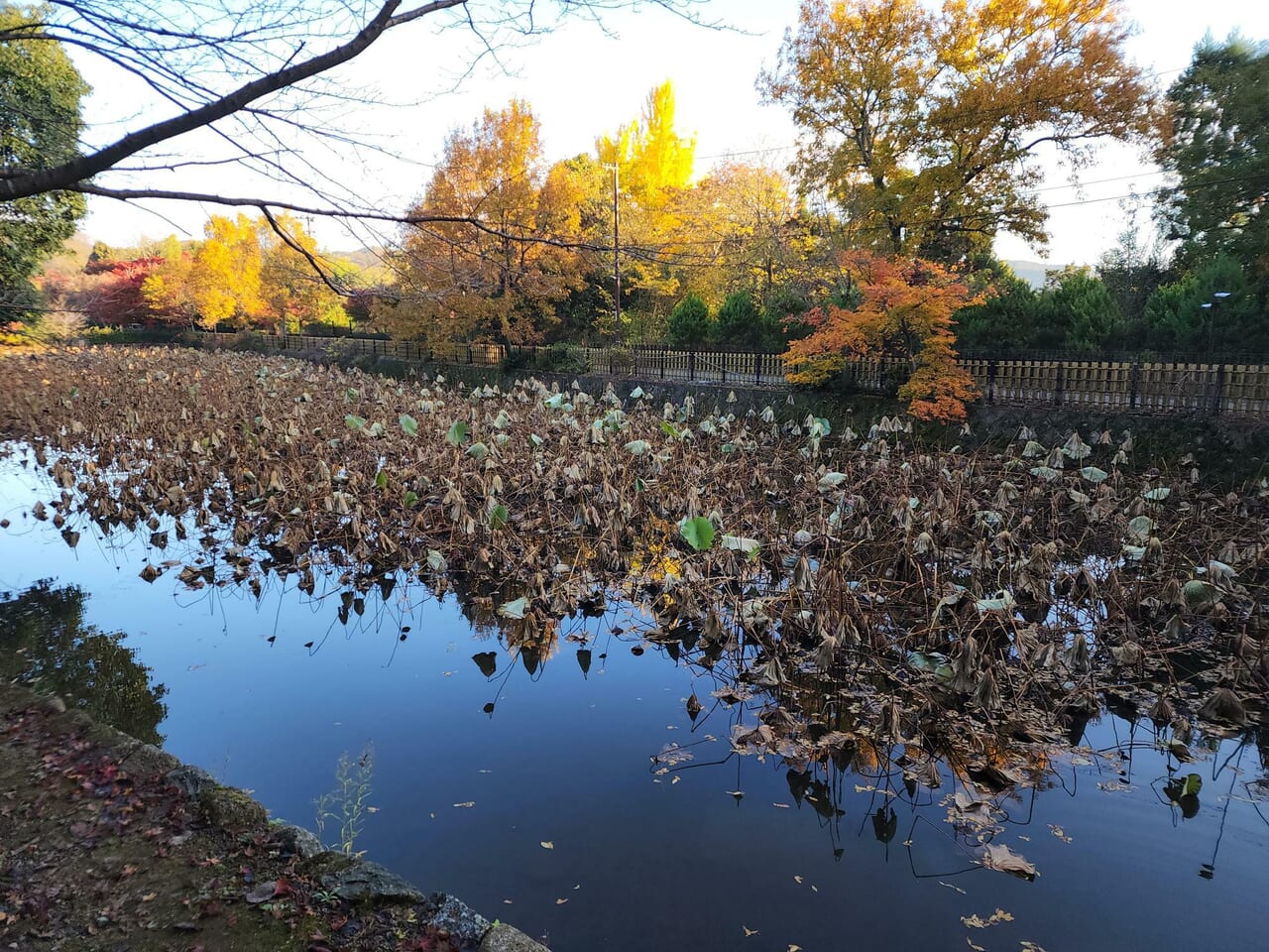 常寂光寺