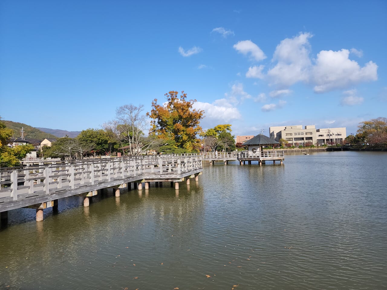 2024初詣神社