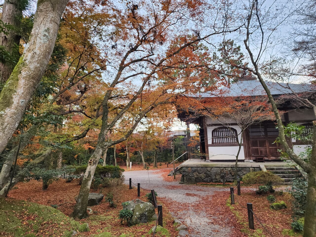 地蔵院