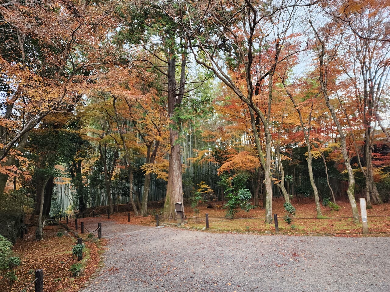 地蔵院