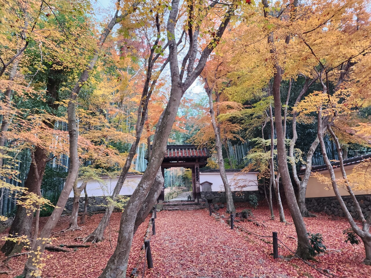 地蔵院