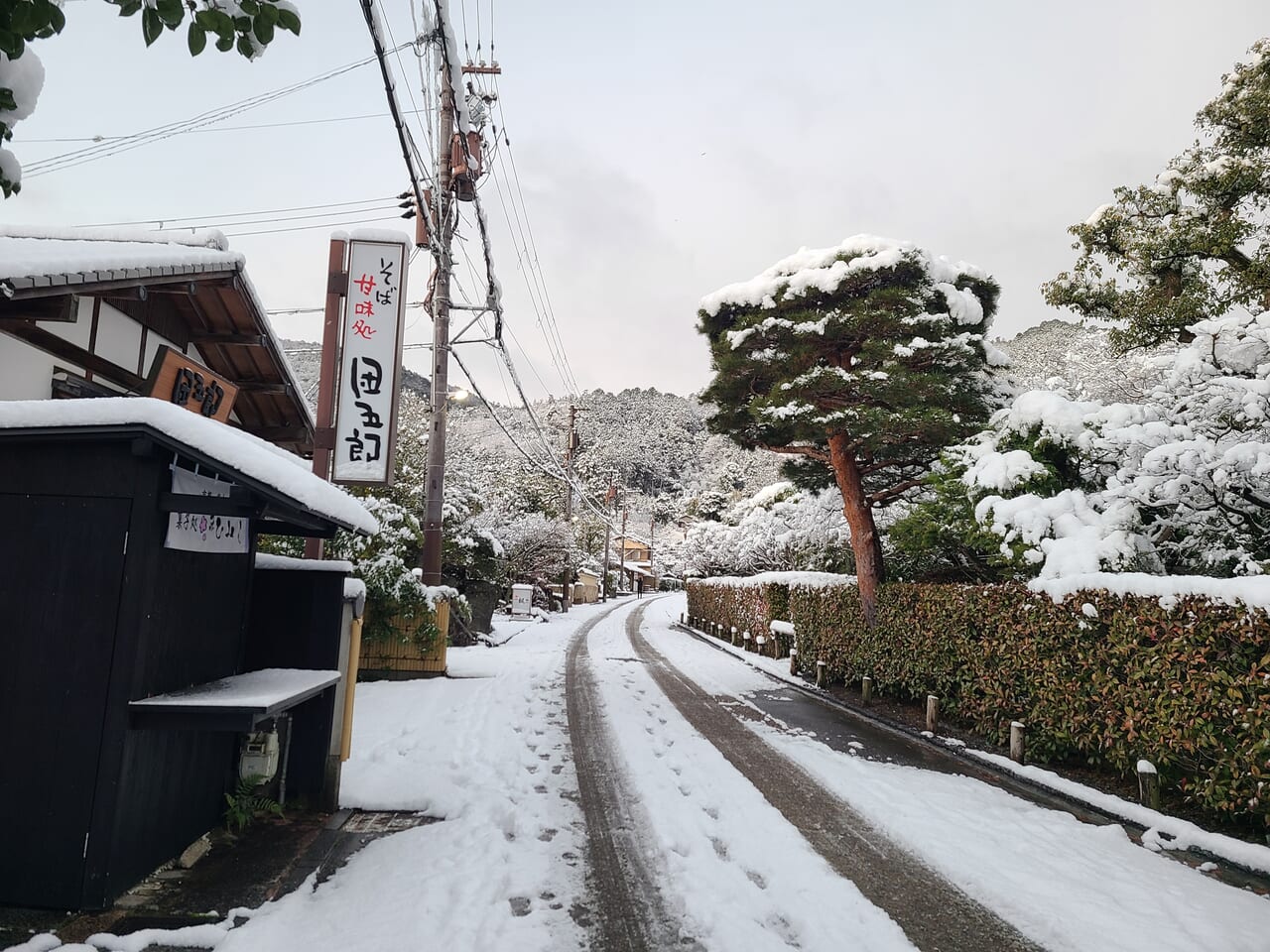 京都大雪