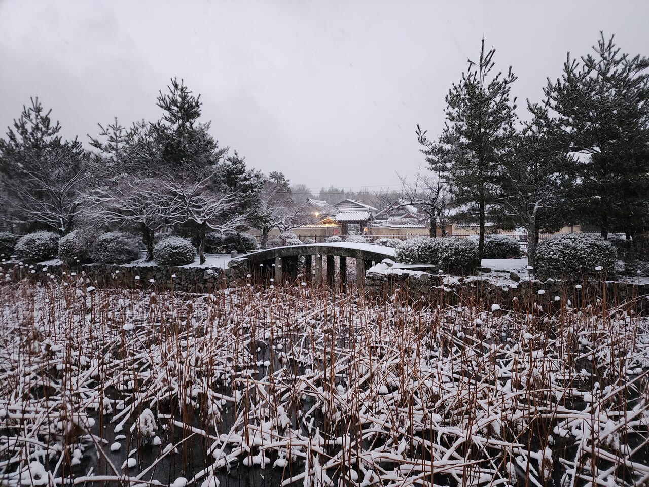 京都市大雪